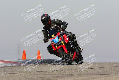 media/Feb-10-2023-TrackDaz (Fri) [[827c11d241]]/C Group/1245pm (Outside Grapevine)/